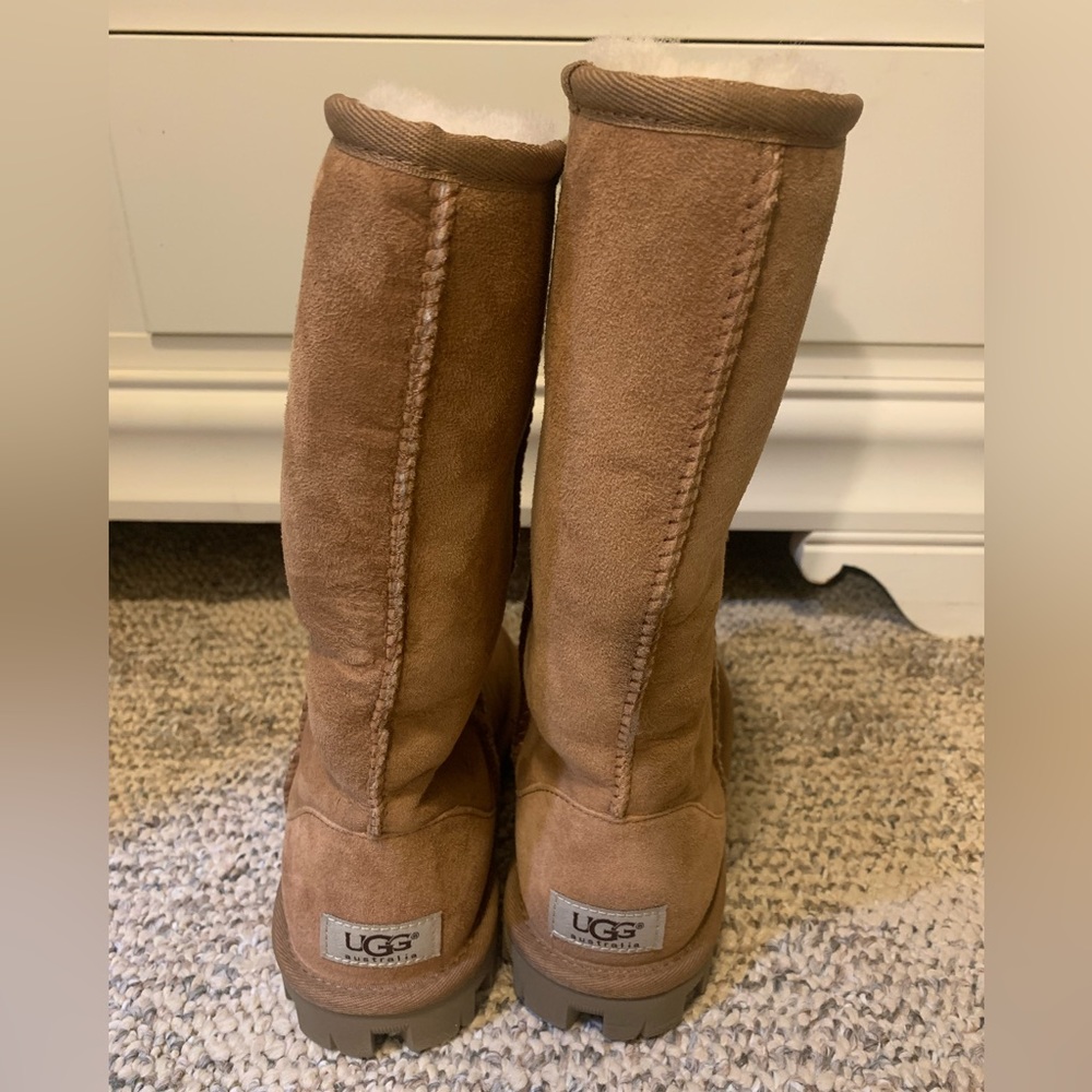 Tall classic tan size 5 uggs